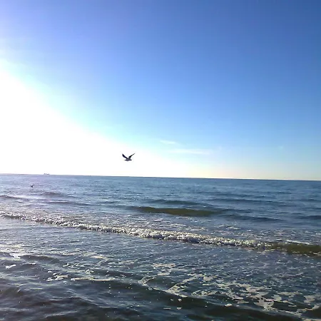 Beautiful In Near Sea *
