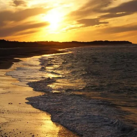 Beautiful In Near Sea Zierow