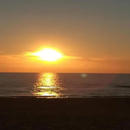 Beautiful In Near Sea Zierow
