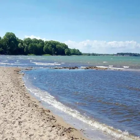 Beautiful In Near Sea Zierow
